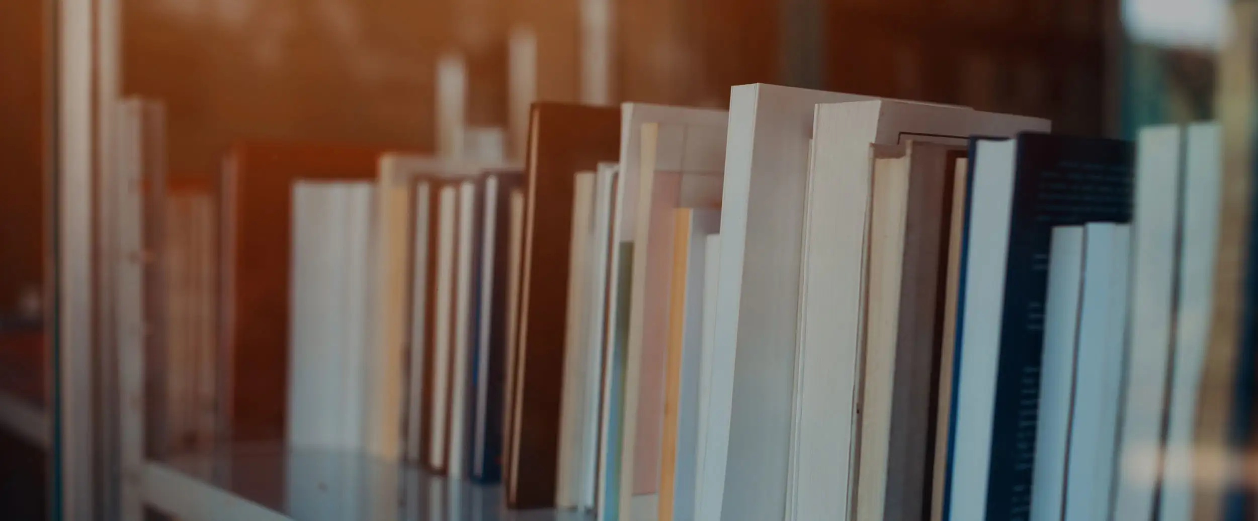 Shelf full of books and manuals