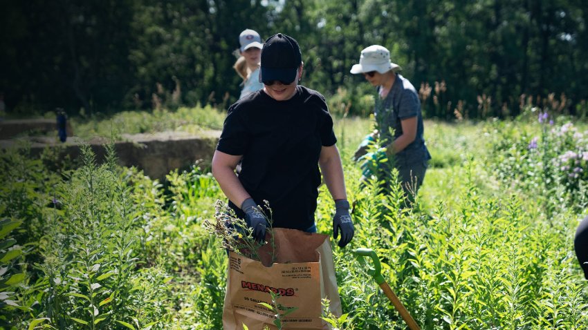 employee volunteers doing environmental cleanup