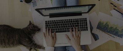 Person sitting on the floor typing on their laptop with a cat sitting on their business papers